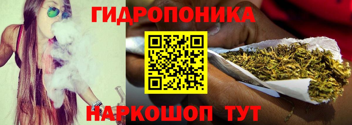 Шишки марихуана конопля Полысаево